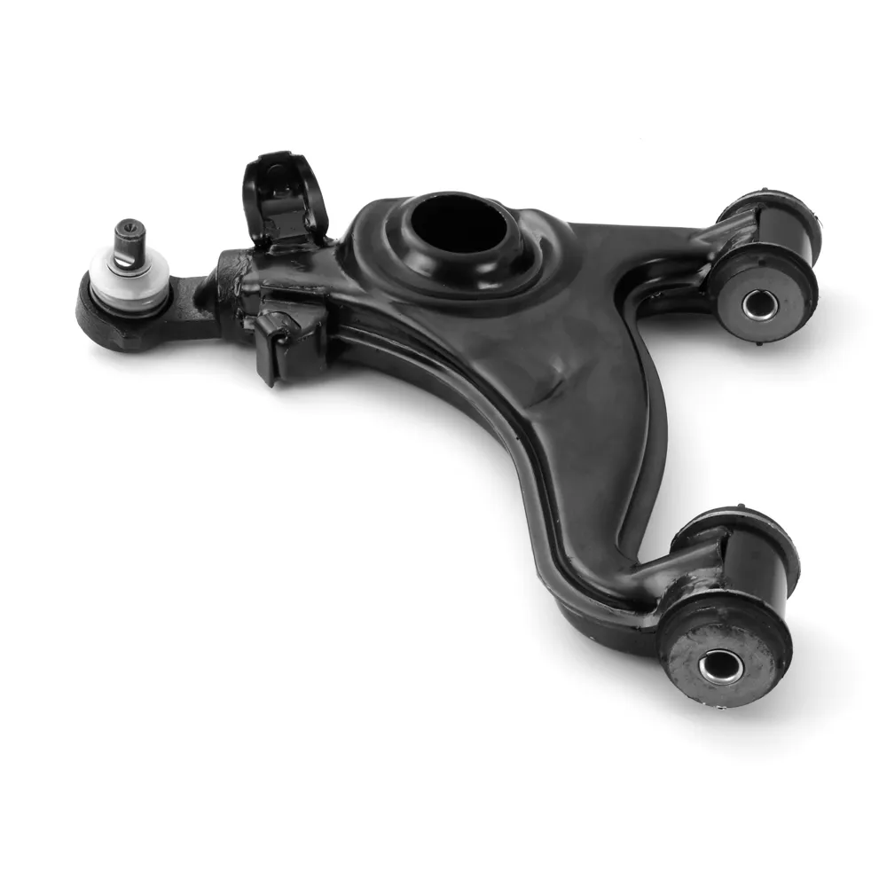 WISHBONEs