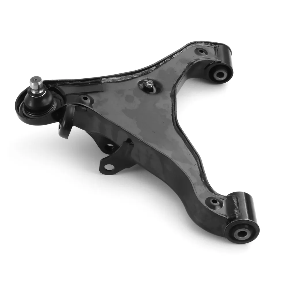 WISHBONEs