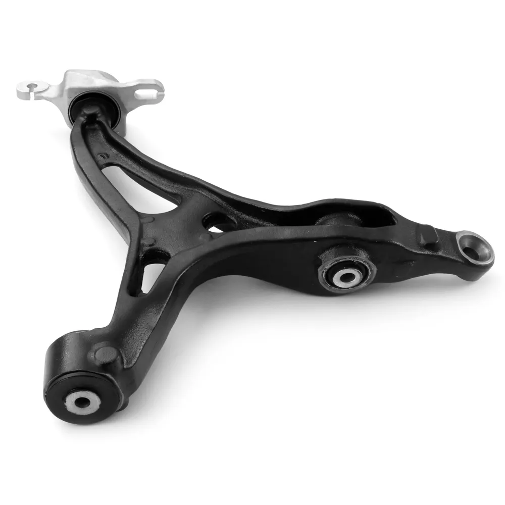 WISHBONEs