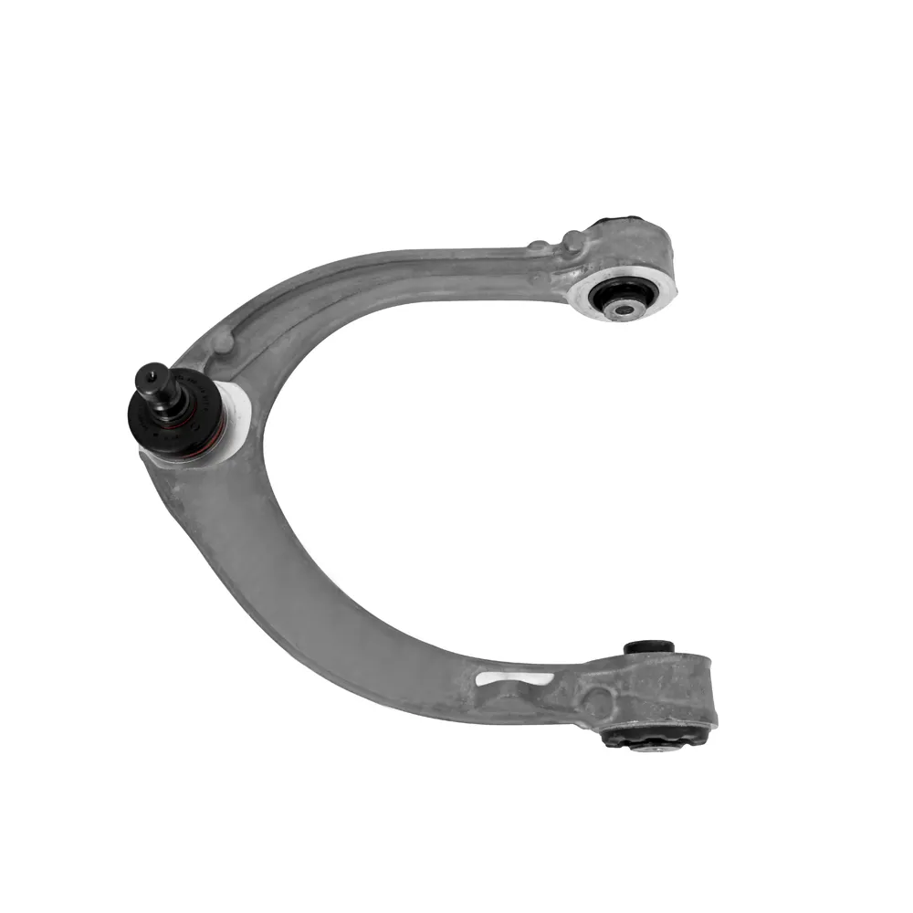 WISHBONEs